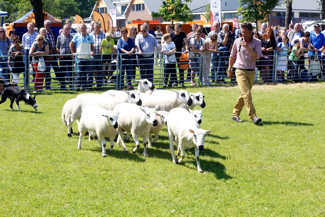 Foto: Dag van het Schaap